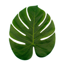 Load image into Gallery viewer, Hawaii Tropical Glasses